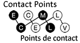 Logo ECML National Contact Points